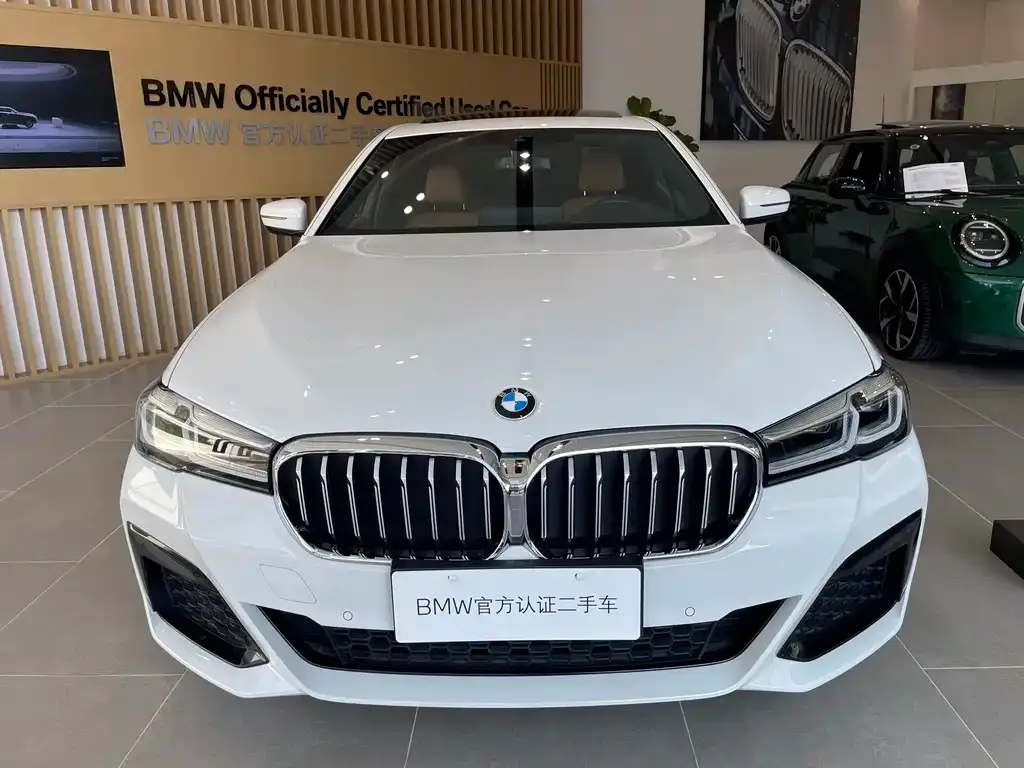 BMW 5 Series (Import) — фото 9