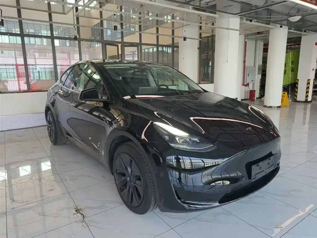 Tesla Model Y — фото 6
