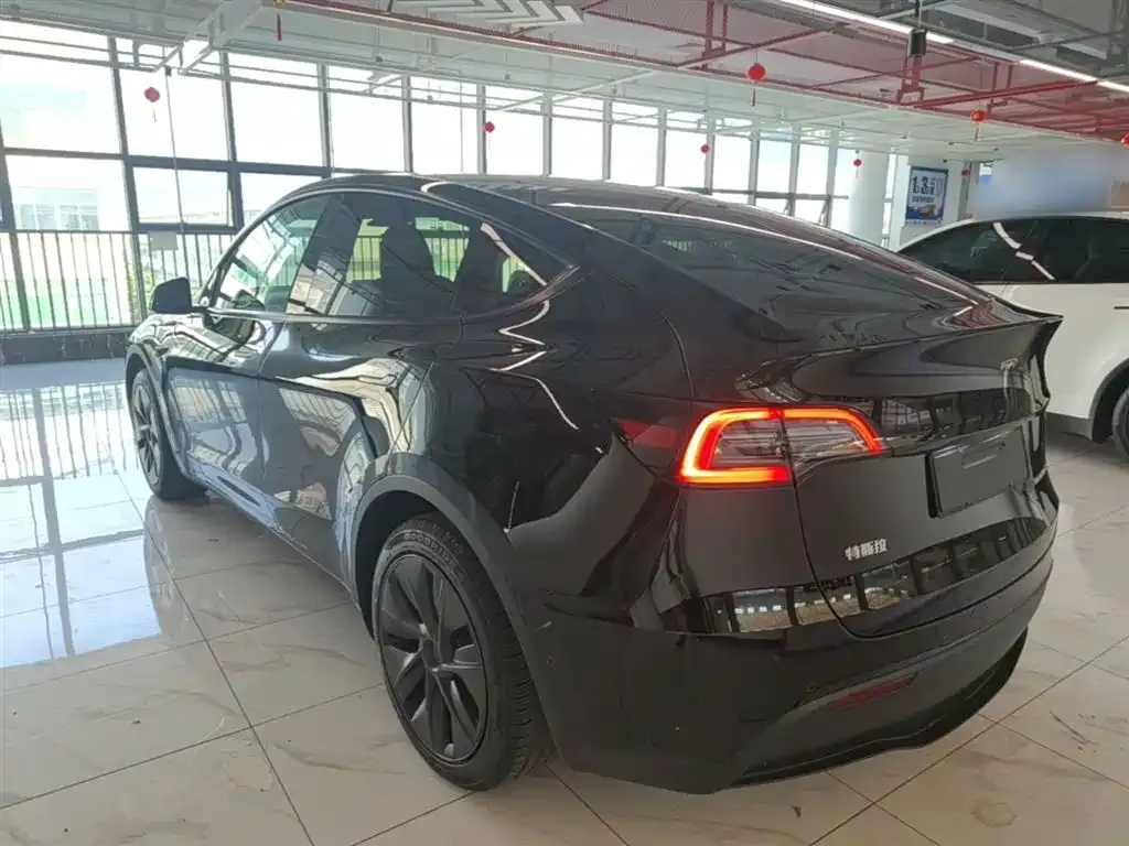 Tesla Model Y — фото 10