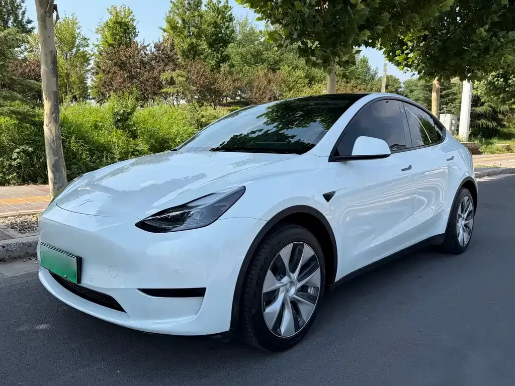 Tesla Model Y — фото 1