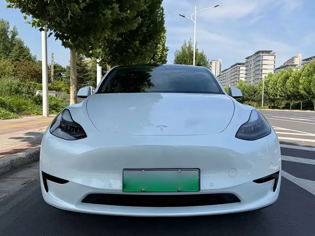 Tesla Model Y — фото 2