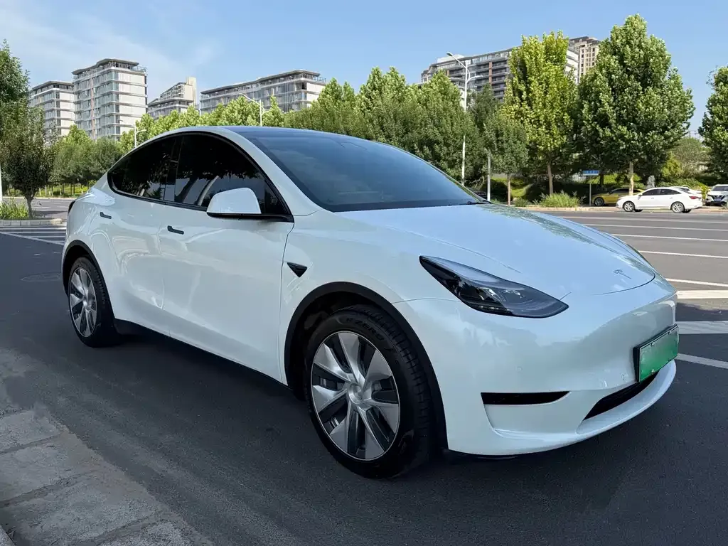 Tesla Model Y — фото 9