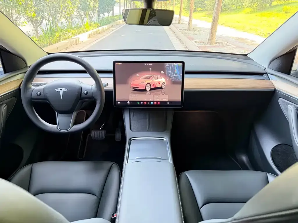 Tesla Model Y — фото 8