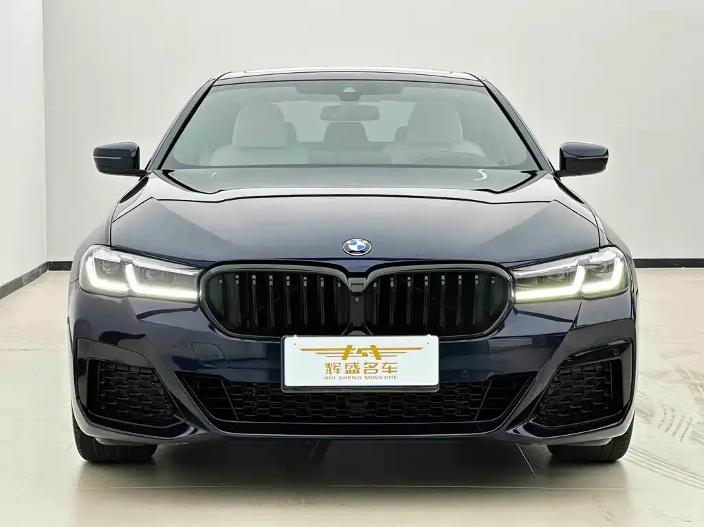 BMW 5 Series (Import) 2021 из CN, фото 4