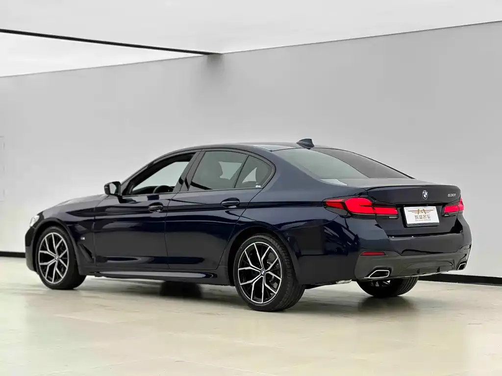 BMW 5 Series (Import) 2021 из CN, фото 2