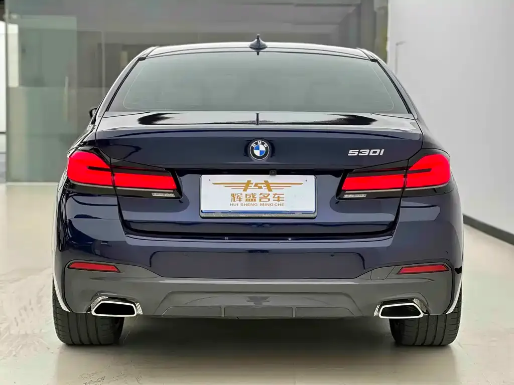 BMW 5 Series (Import) 2021 из CN, фото 3