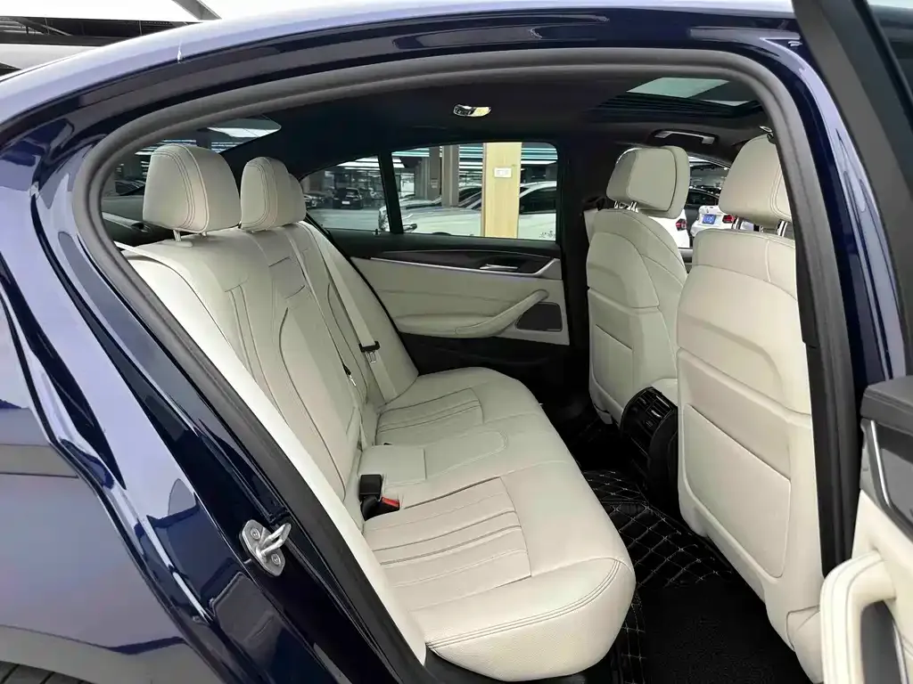 BMW 5 Series (Import) 2021 из CN, фото 9