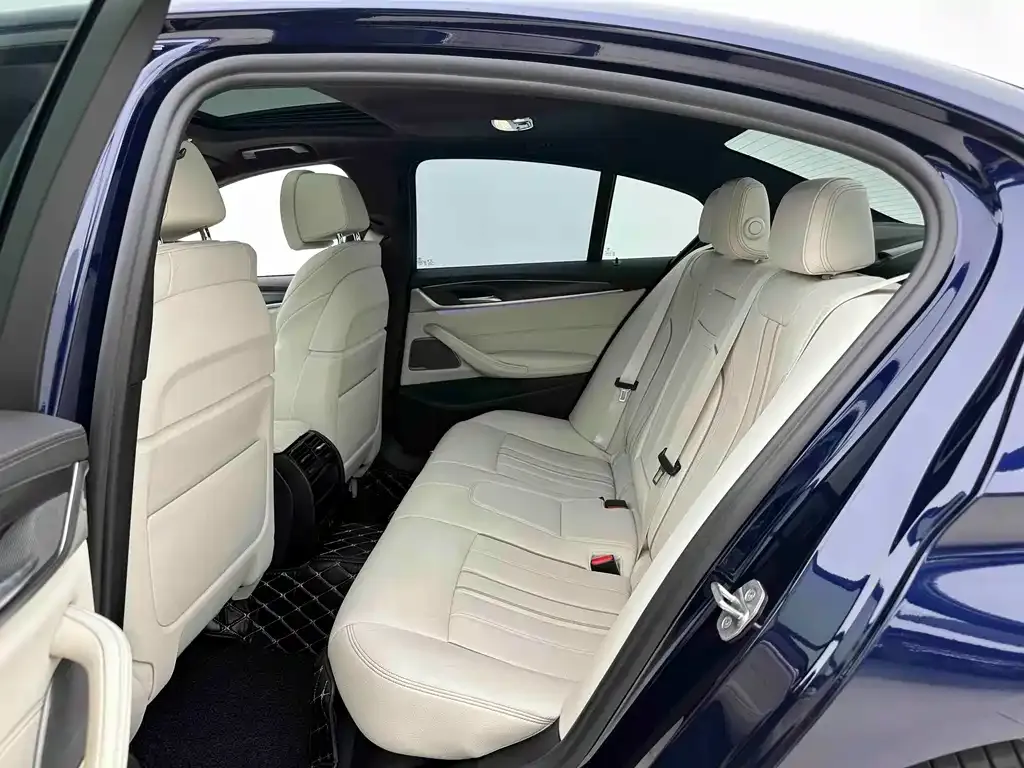 BMW 5 Series (Import) 2021 из CN, фото 7