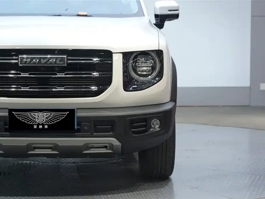 Haval Big Dog — фото 9