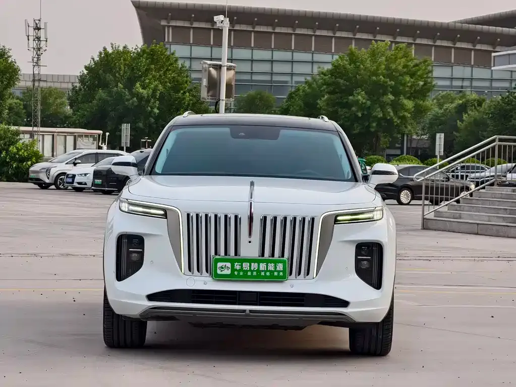 Hongqi E-HS9 2022 из CN, фото 5