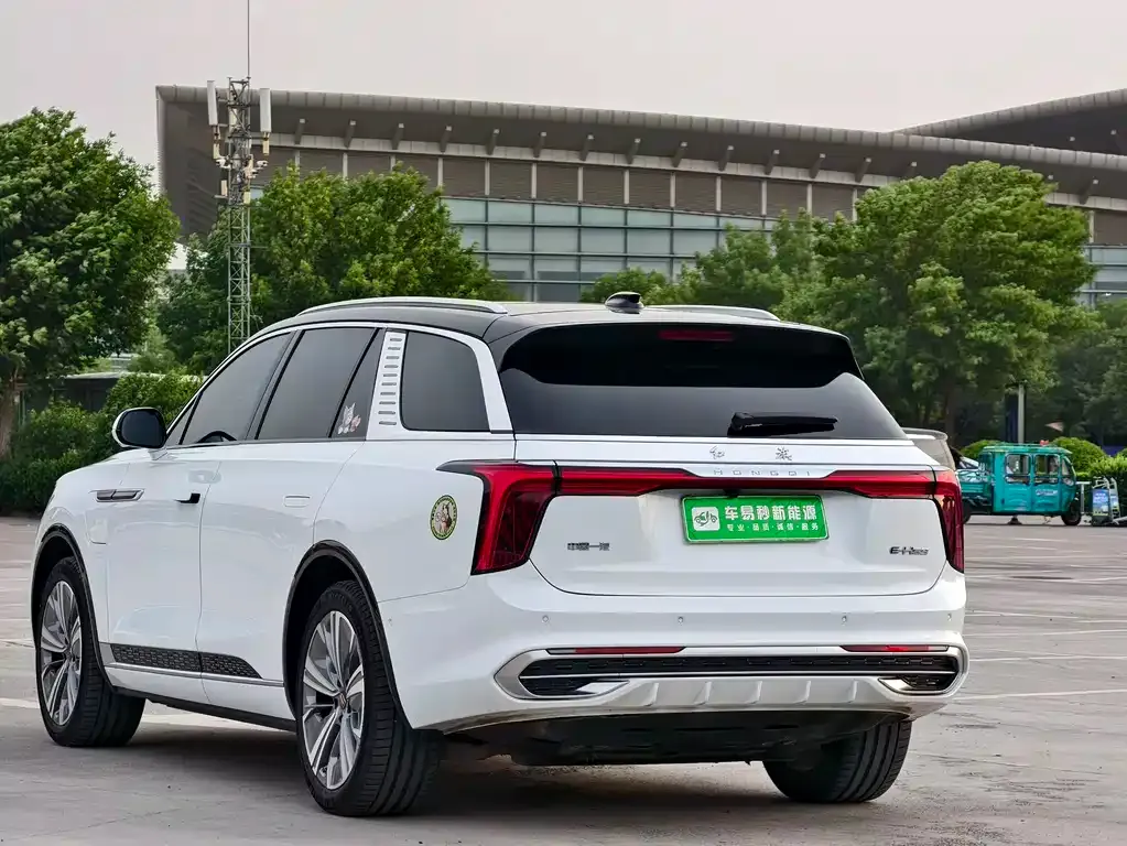 Hongqi E-HS9 2022 из CN, фото 10