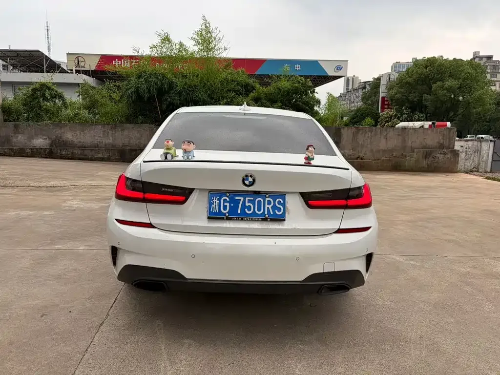 BMW 3 Series 2021 из CN, фото 3