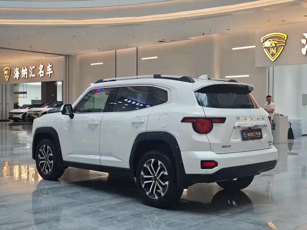 Haval H7 (Big Dog Plus) — фото 6