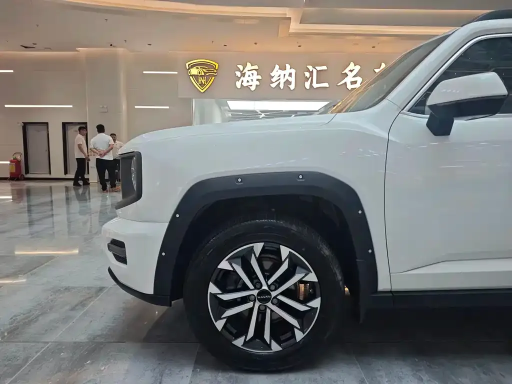 Haval H7 (Big Dog Plus) — фото 8