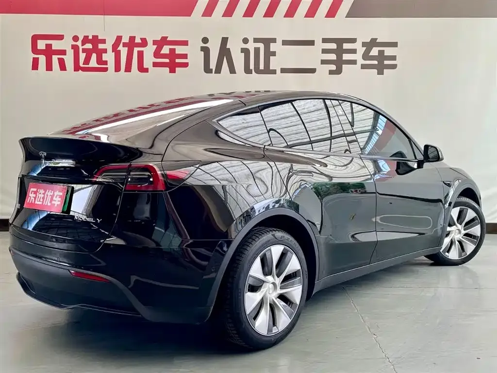 Tesla Model Y — фото 9