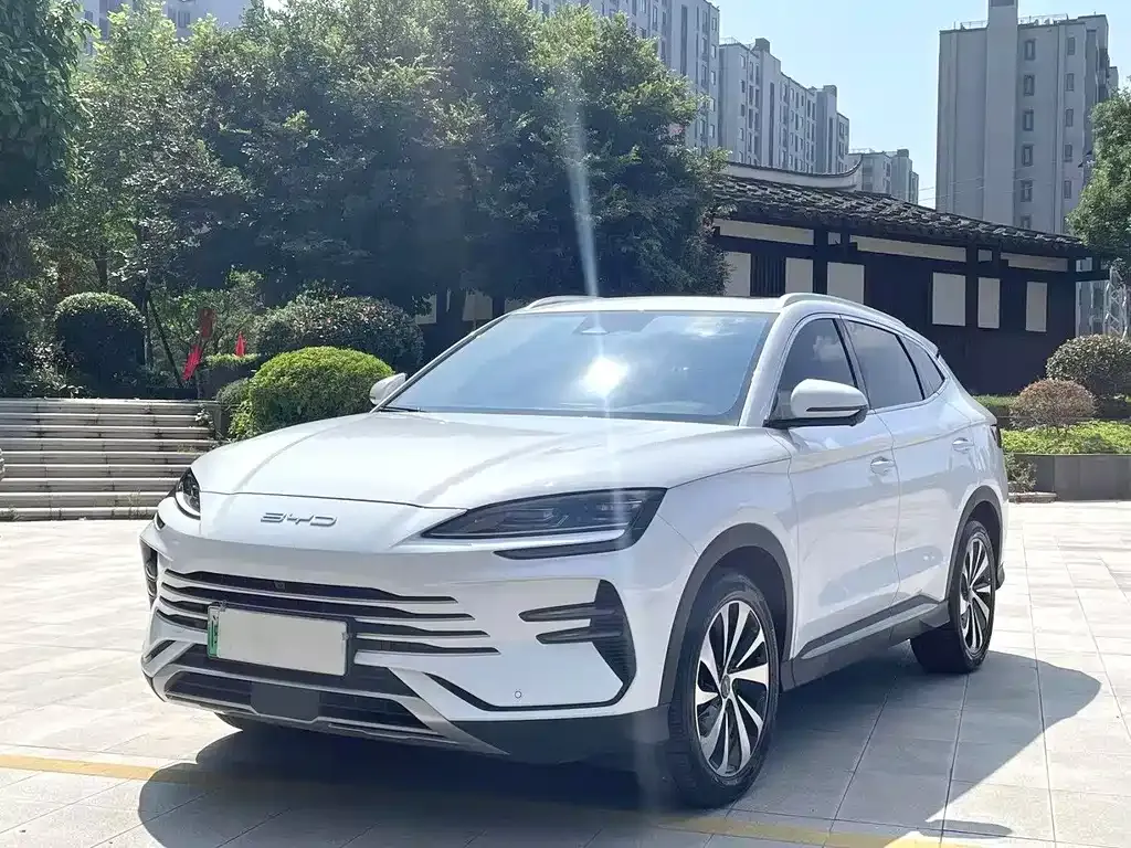 BYD PLUS New Energy — фото 1