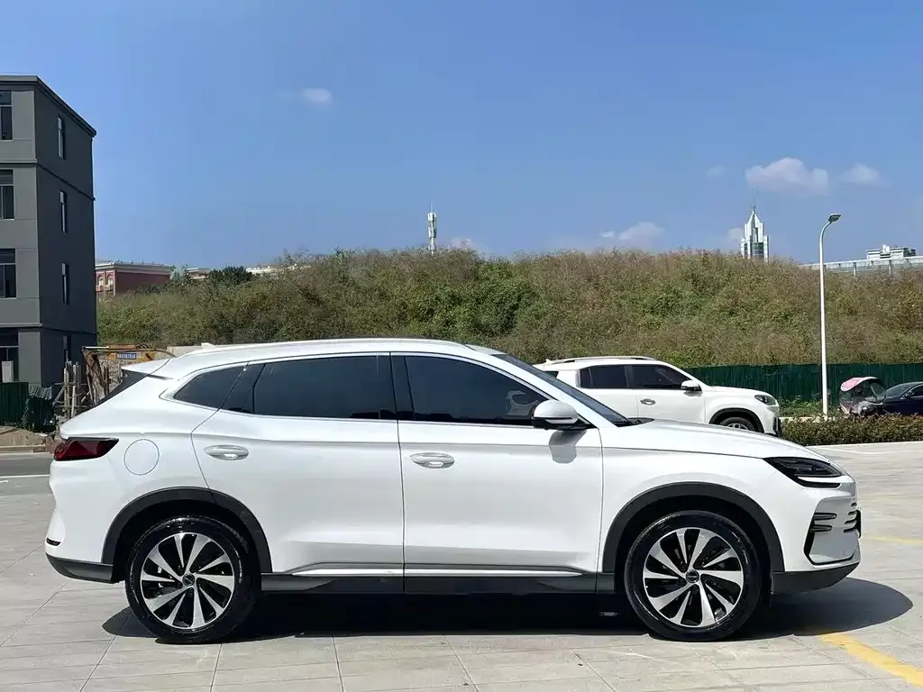 BYD PLUS New Energy — фото 3