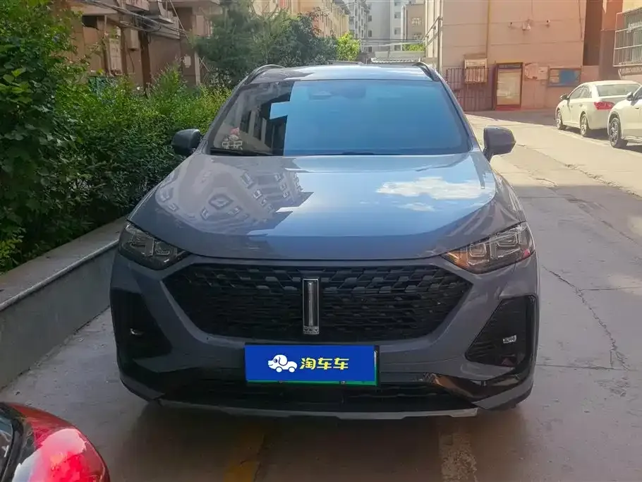 Wey Latte DHT-PHEV 2022 из CN, фото 10