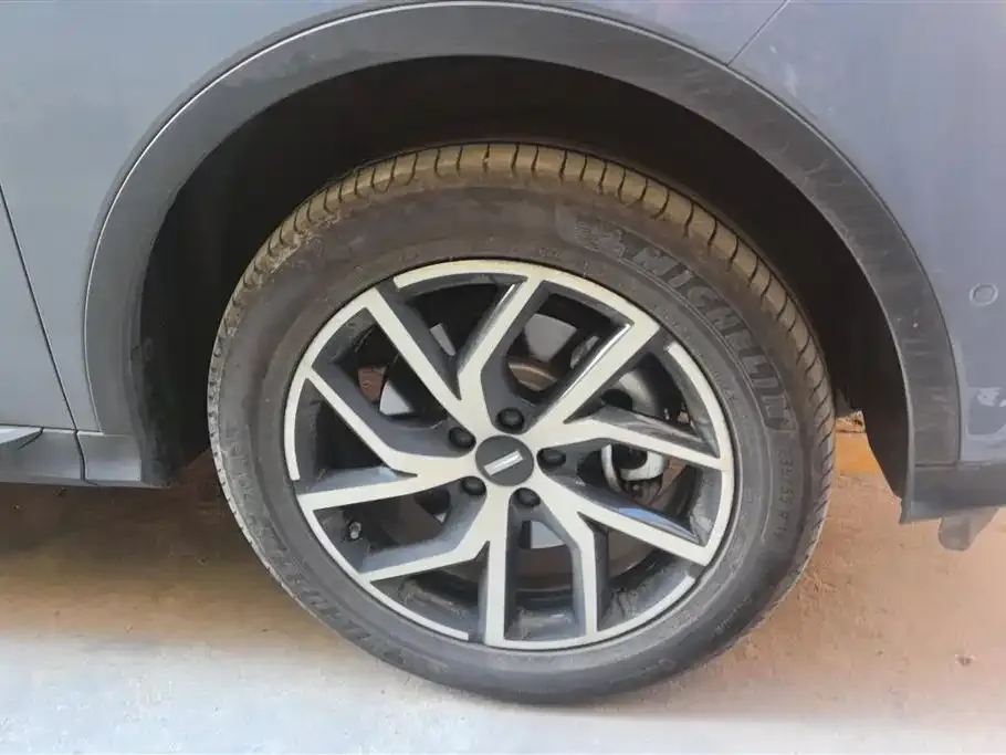 Wey Latte DHT-PHEV 2022 из CN, фото 3