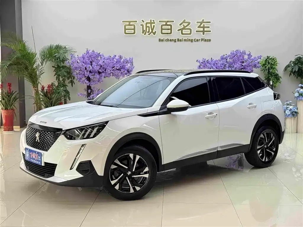 Peugeot 2008 2023 из CN, фото 6
