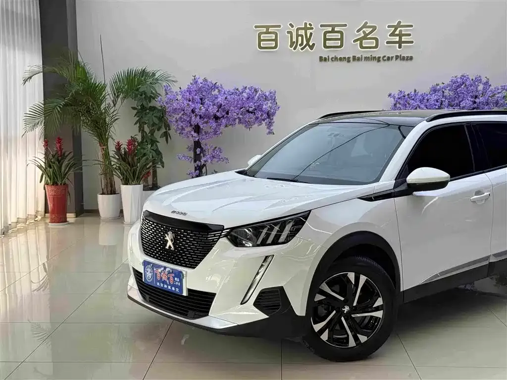 Peugeot 2008 2023 из CN, фото 7