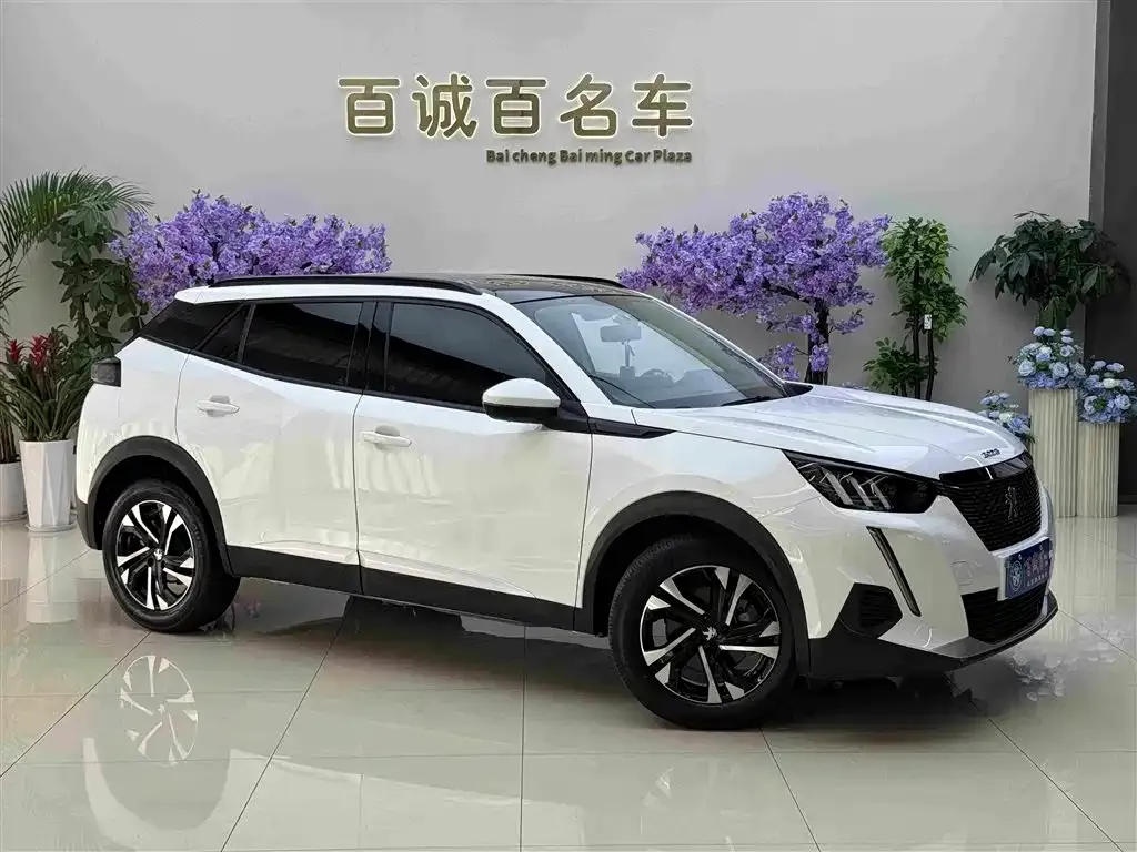 Peugeot 2008 2023 из CN, фото 4