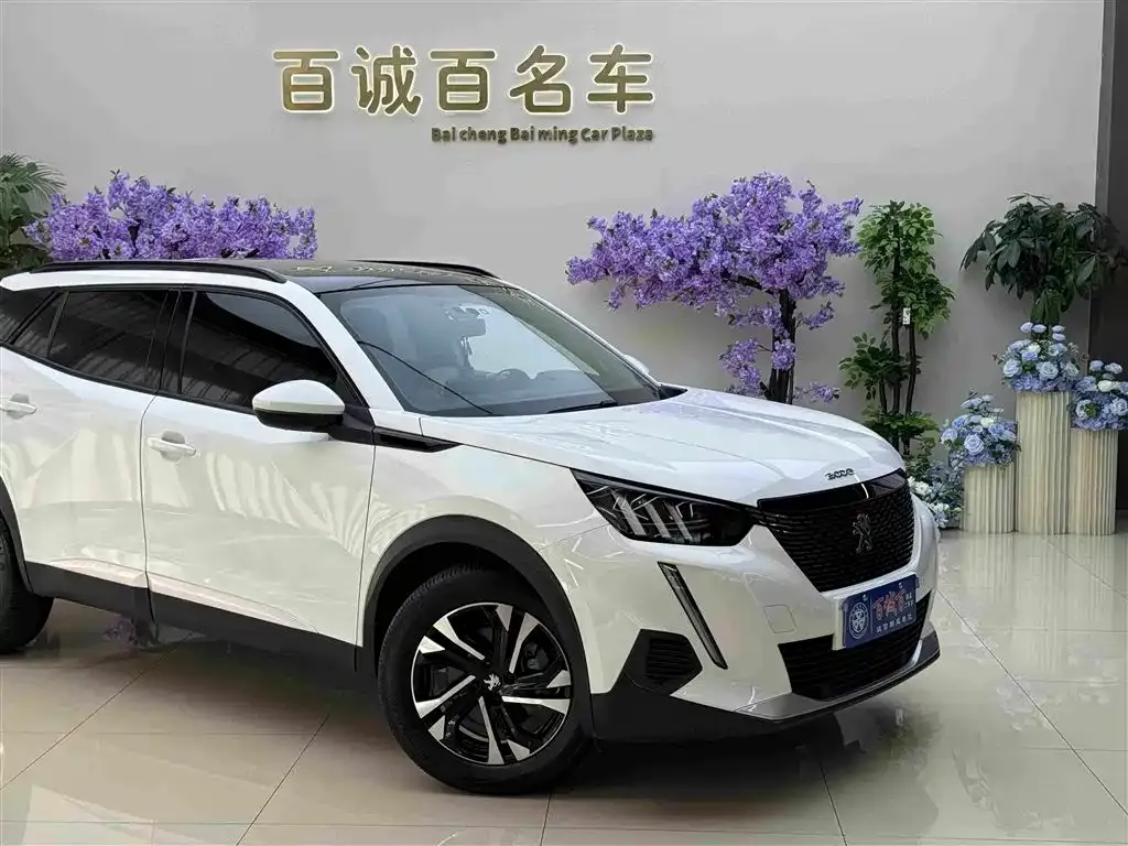 Peugeot 2008 2023 из CN, фото 10
