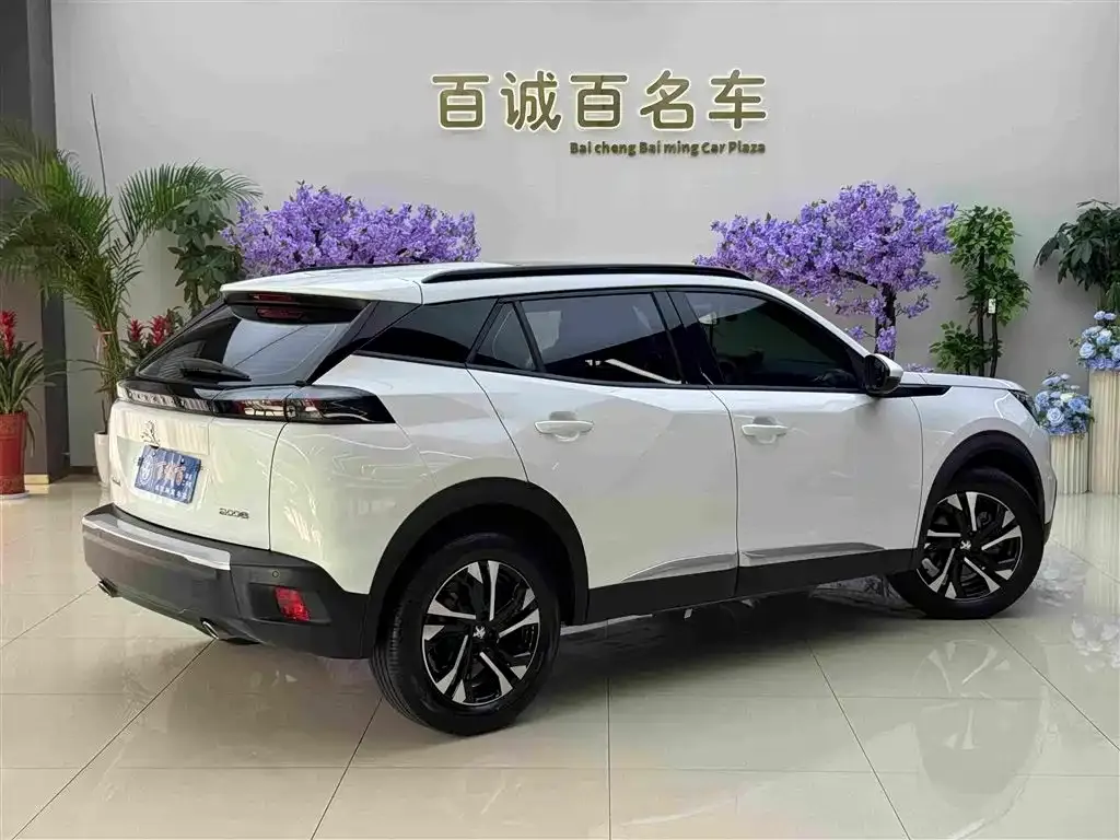 Peugeot 2008 2023 из CN, фото 9