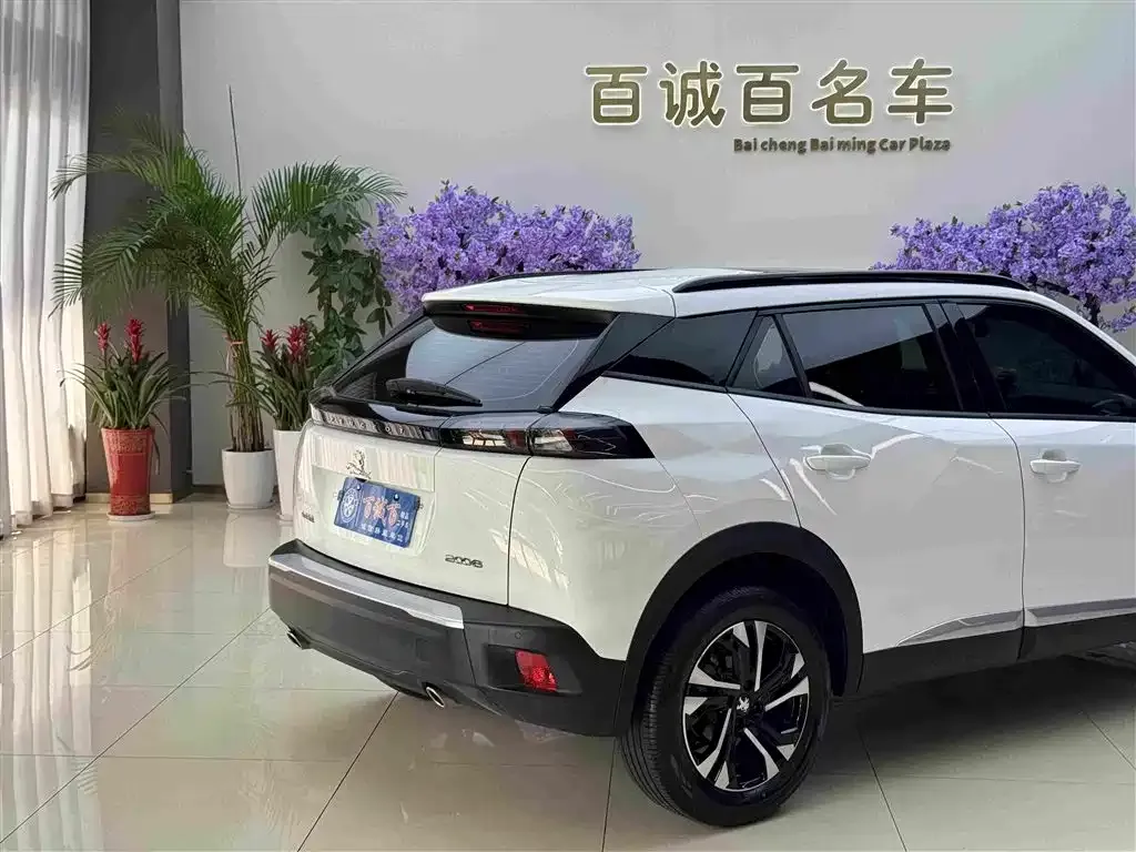 Peugeot 2008 2023 из CN, фото 8