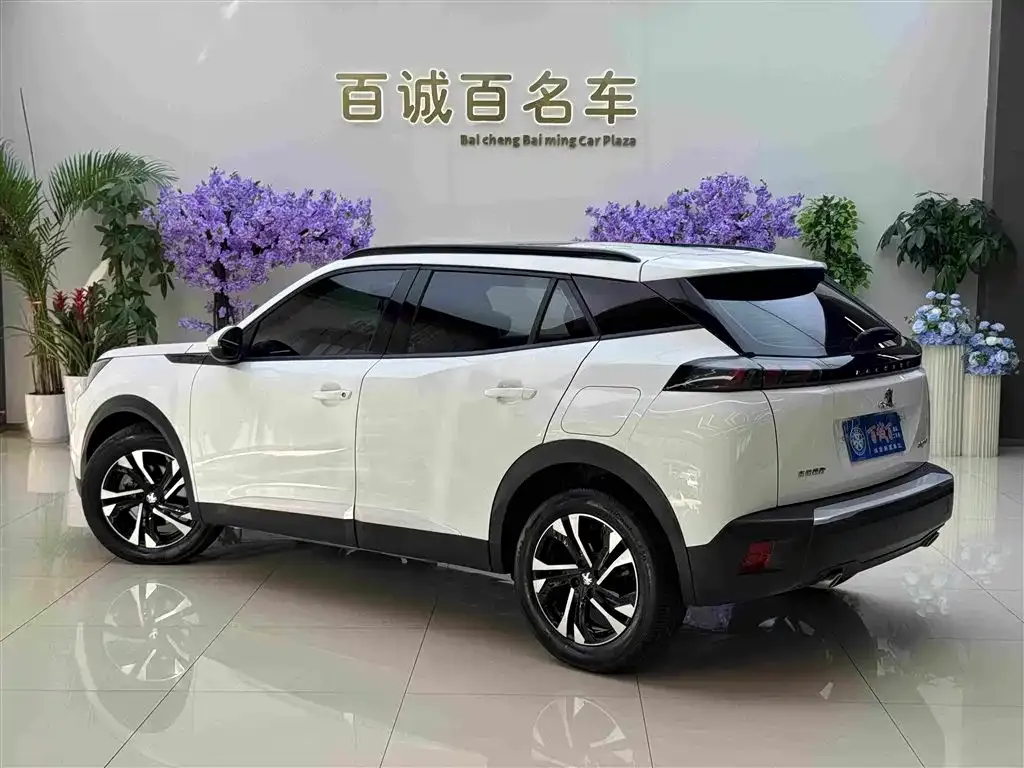 Peugeot 2008 2023 из CN, фото 3