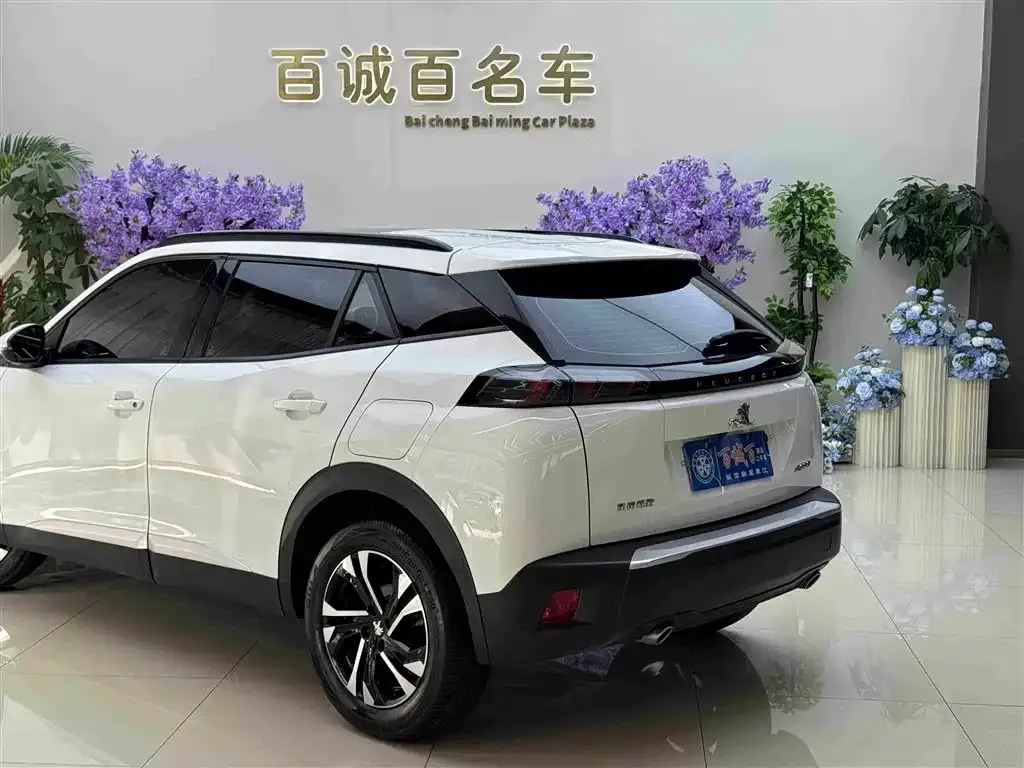 Peugeot 2008 2023 из CN, фото 5