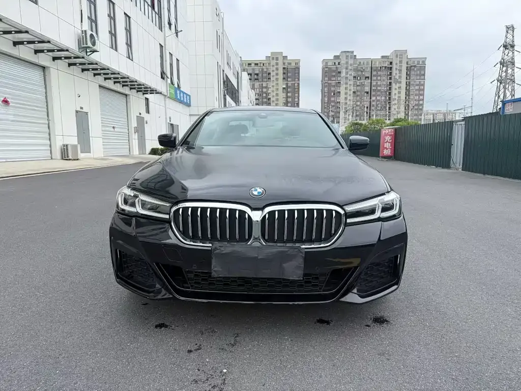 BMW 5 Series 2022 из CN, фото 4