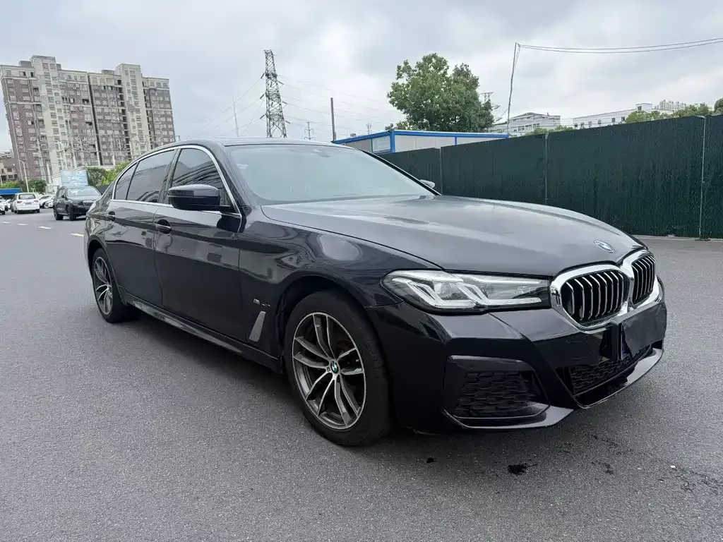 BMW 5 Series 2022 из CN, фото 6