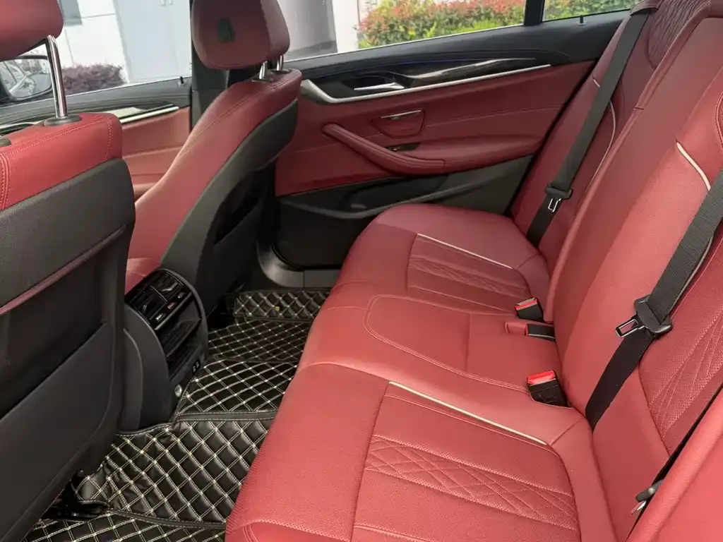 BMW 5 Series 2022 из CN, фото 5