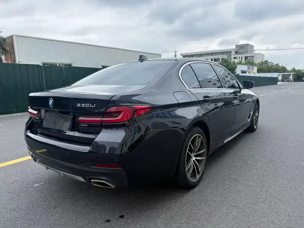 BMW 5 Series 2022 из CN, фото 8