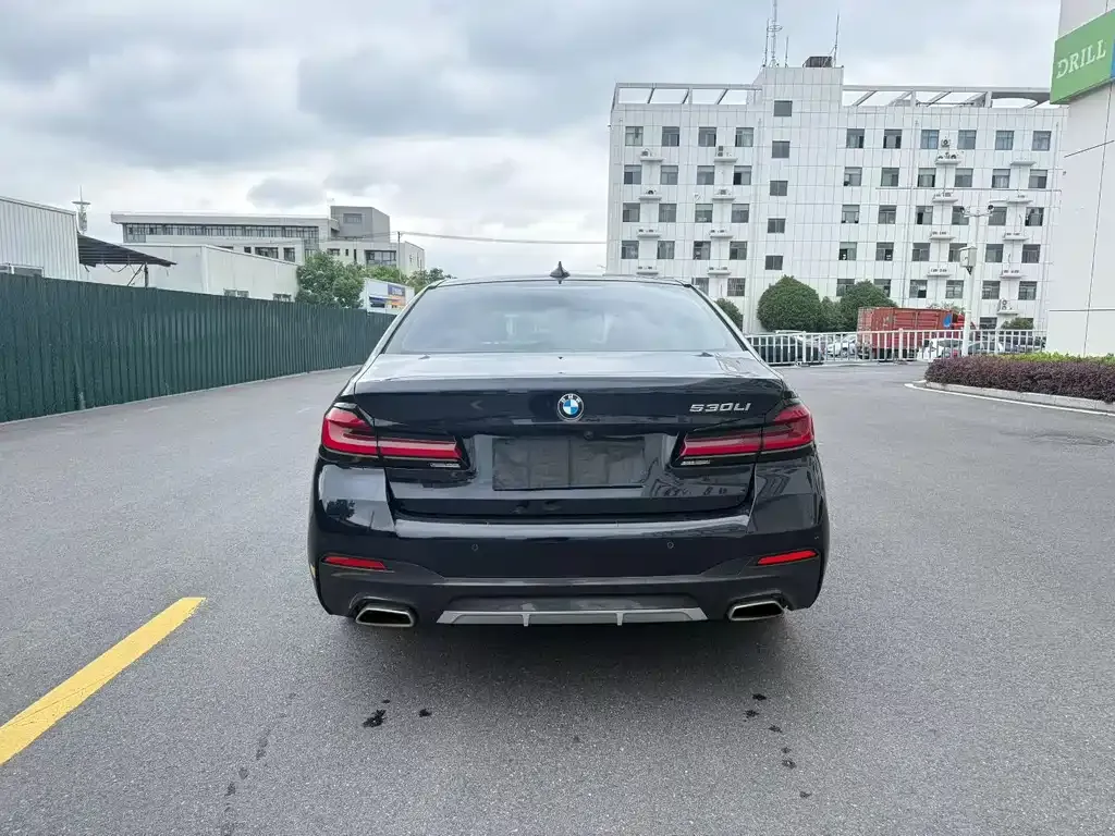 BMW 5 Series 2022 из CN, фото 3