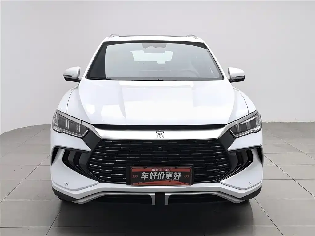 BYD Pro New Energy — фото 9