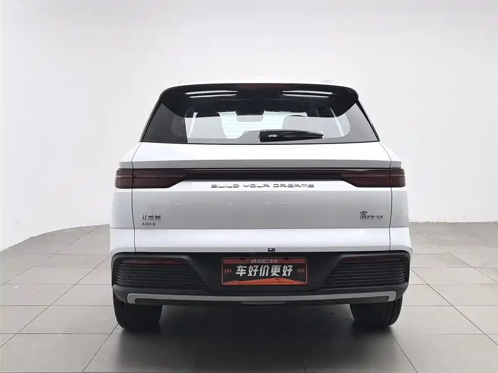 BYD Pro New Energy — фото 5