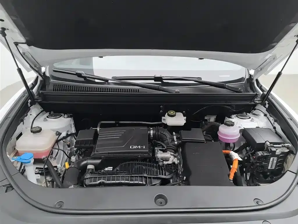 BYD Pro New Energy — фото 8