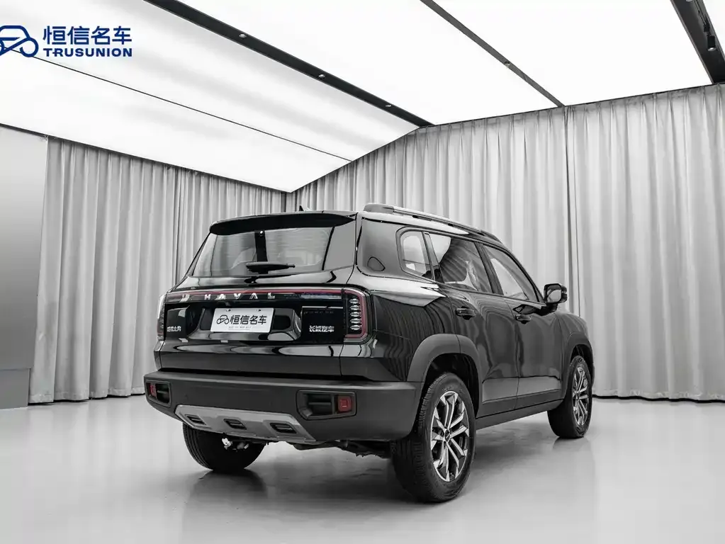 Haval Big Dog — фото 5