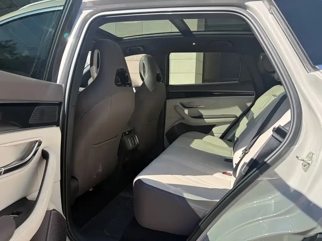 BYD PLUS New Energy — фото 10