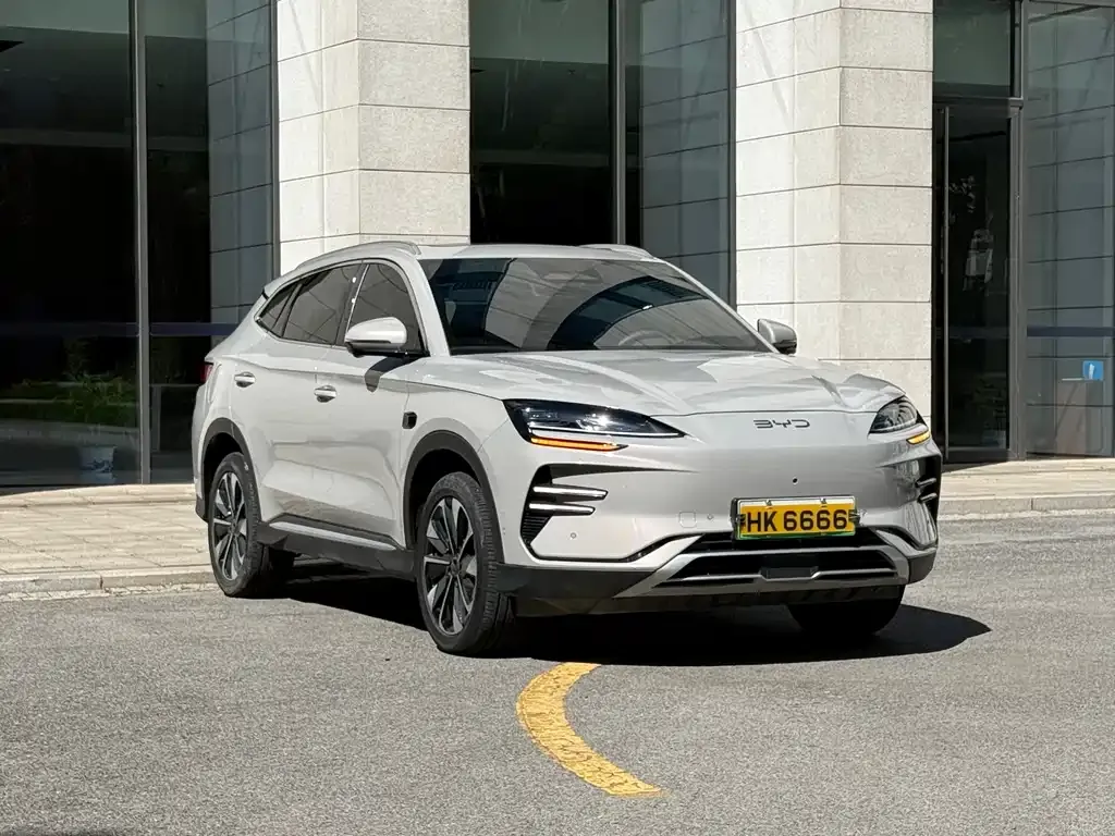 BYD PLUS New Energy — фото 6