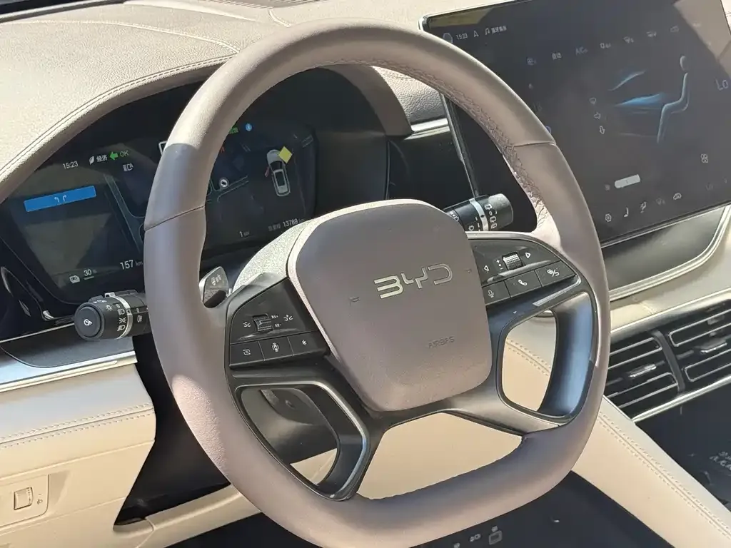 BYD PLUS New Energy — фото 4