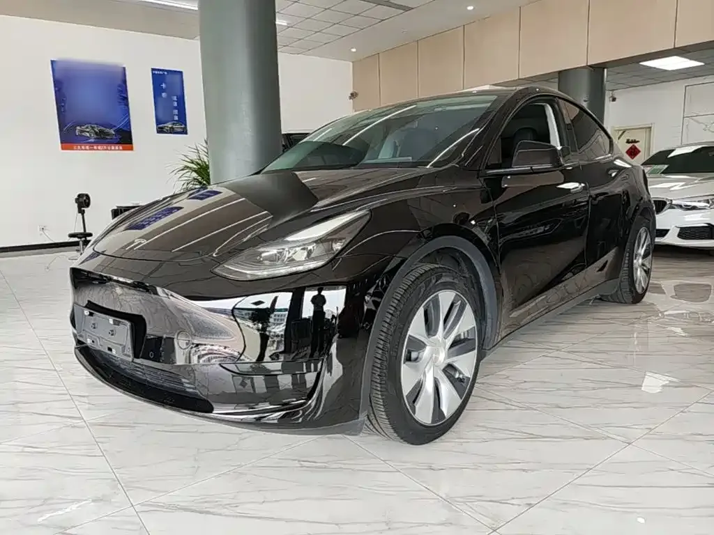 Tesla Model Y — фото 1