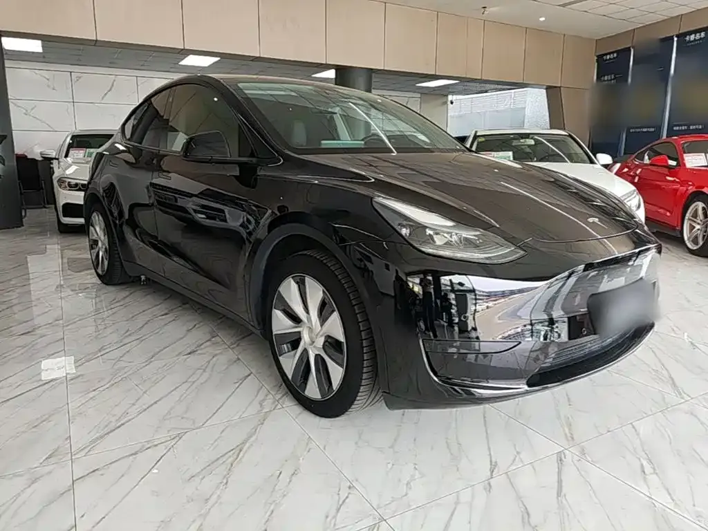 Tesla Model Y — фото 10