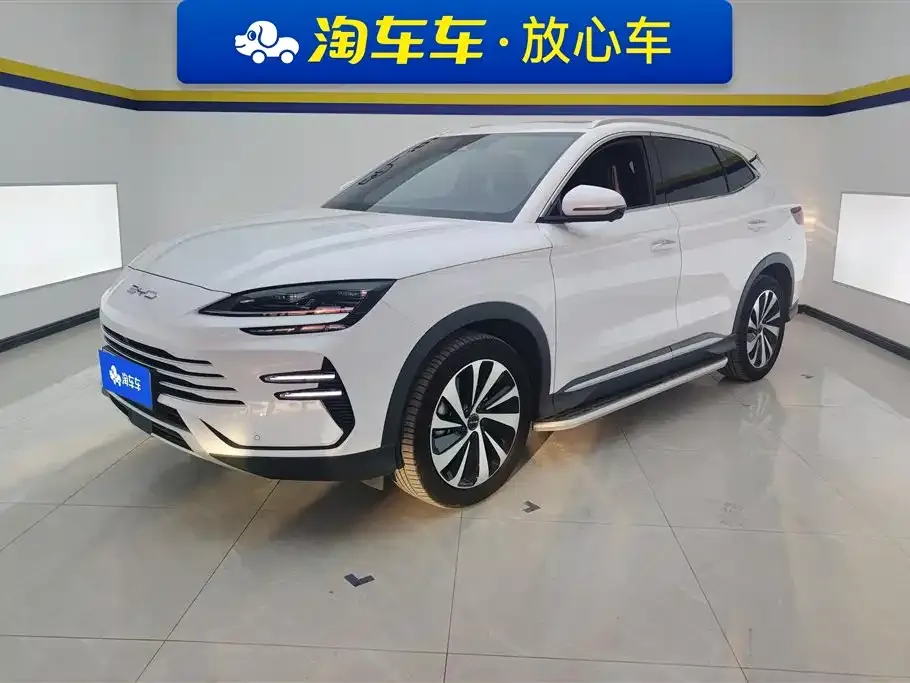 BYD PLUS New Energy — фото 1