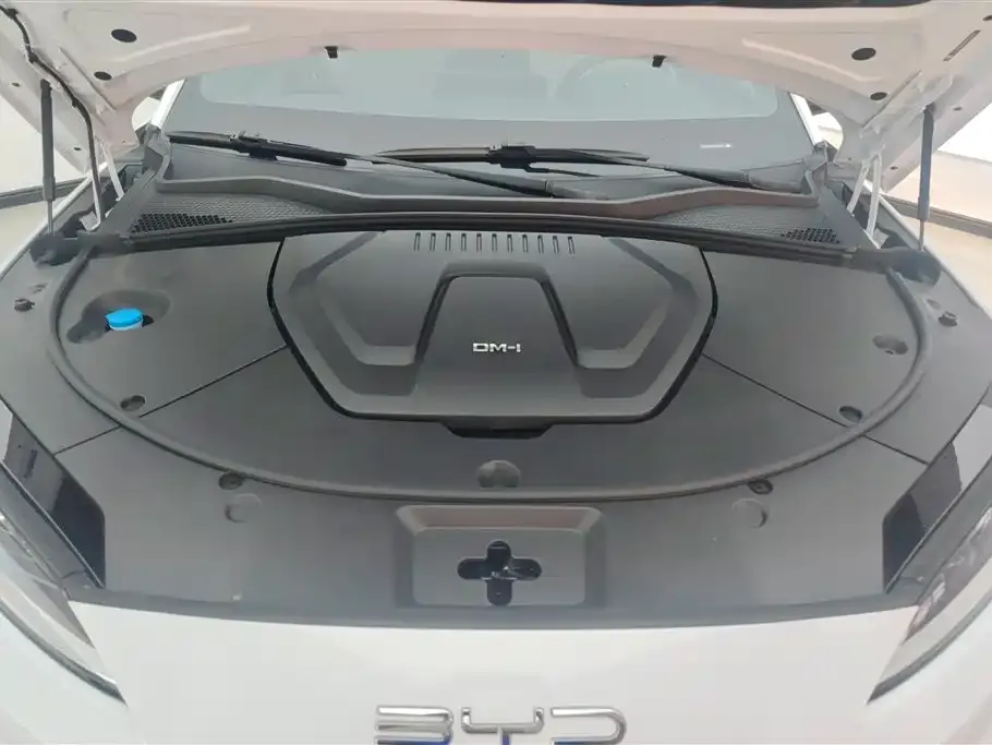 BYD PLUS New Energy — фото 4