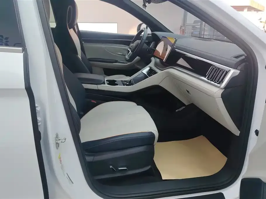 BYD PLUS New Energy — фото 10