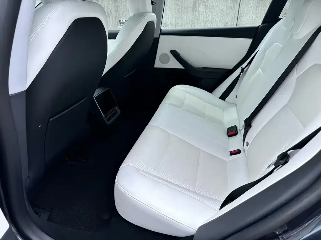Tesla Model 3 — фото 2