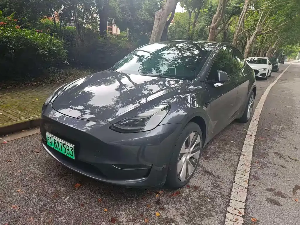 Tesla Model Y — фото 1
